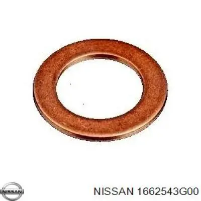 1662543G00 Nissan/Infiniti Pierścień uszczelniający wtryskiwacza