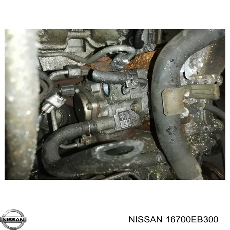 Pompa wtryskowa wysokiego ciśnienia Nissan/Infiniti 16700EB300 cena, od  