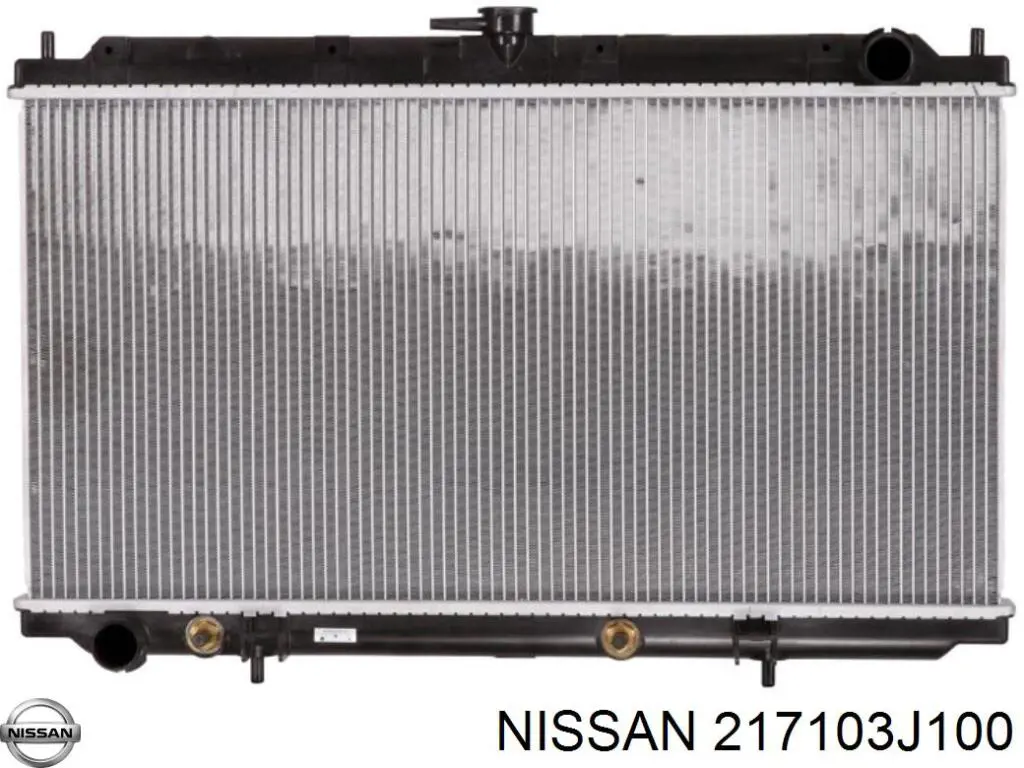 Do koszyka 217103J100 Nissan/Infiniti Zbiorniczek wyrównawczy układu chłodzenia