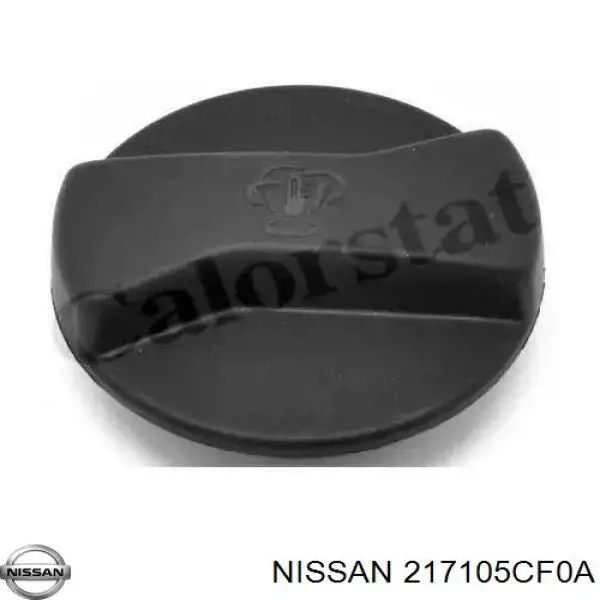 Zbiorniczek wyrównawczy układu chłodzenia Nissan/Infiniti 217105CF0A cena, od 121,27 USD