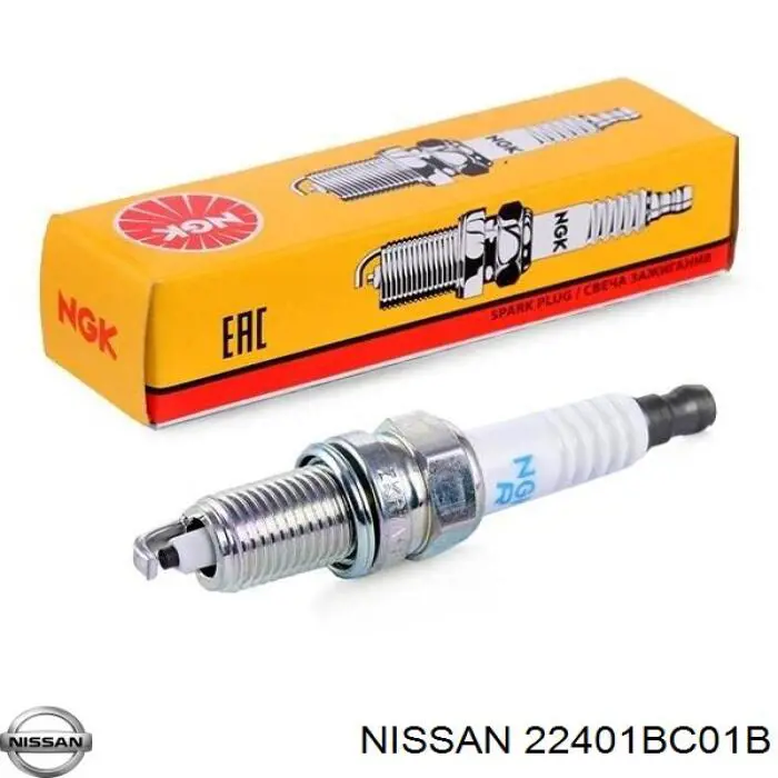 Do koszyka 22401BC01B Nissan/Infiniti Świeca zapłonowa
