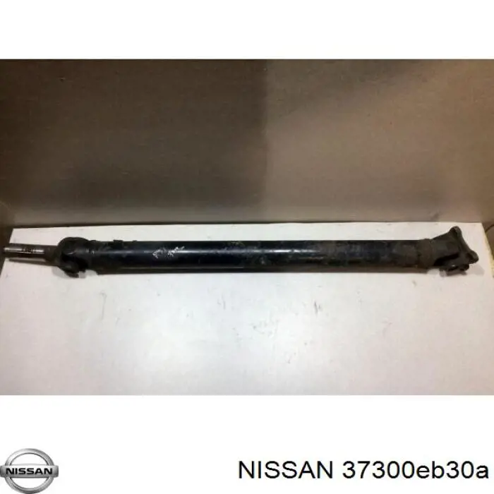Do koszyka Wał Cardana tylny, kompletny Nissan Pathfinder  R51M