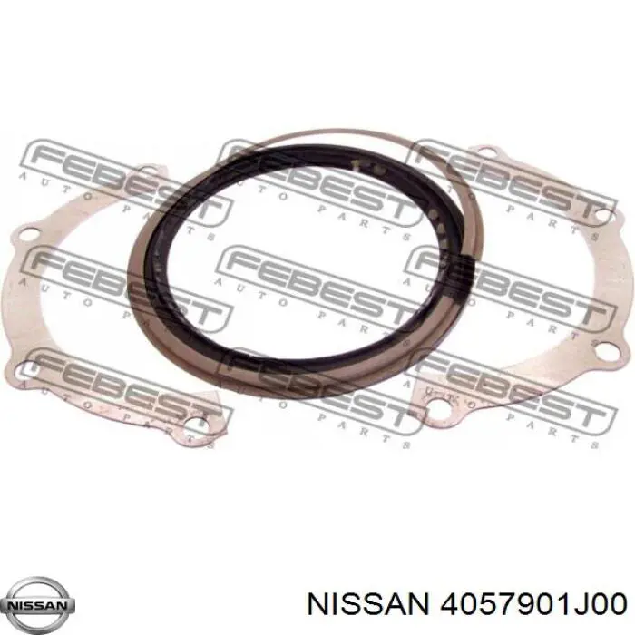 Uszczelniacz zwrotnicy przedniej Nissan/Infiniti 4057901J00 cena, od 20,93 USD