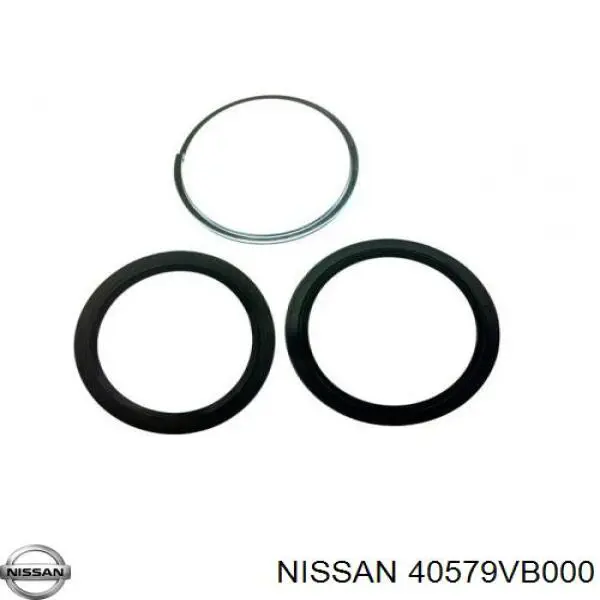 Do koszyka 40579VB000 Nissan/Infiniti Uszczelniacz zwrotnicy przedniej