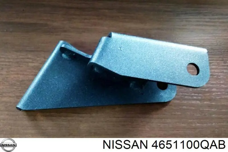 Wspornik pedałów, zespół pedałów Renault (RVI) 91159853 cena, od 27,07 USD