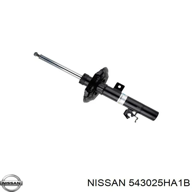 543025HA1B Nissan/Infiniti Amortyzator przedni prawy