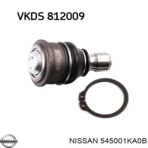 Wahacz zawieszenia przedniego dolny prawy Nissan/Infiniti 545001KA0B cena, od 48,69 USD