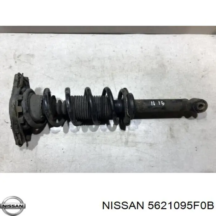 Do koszyka 5621095F0B Nissan/Infiniti Amortyzator tylny