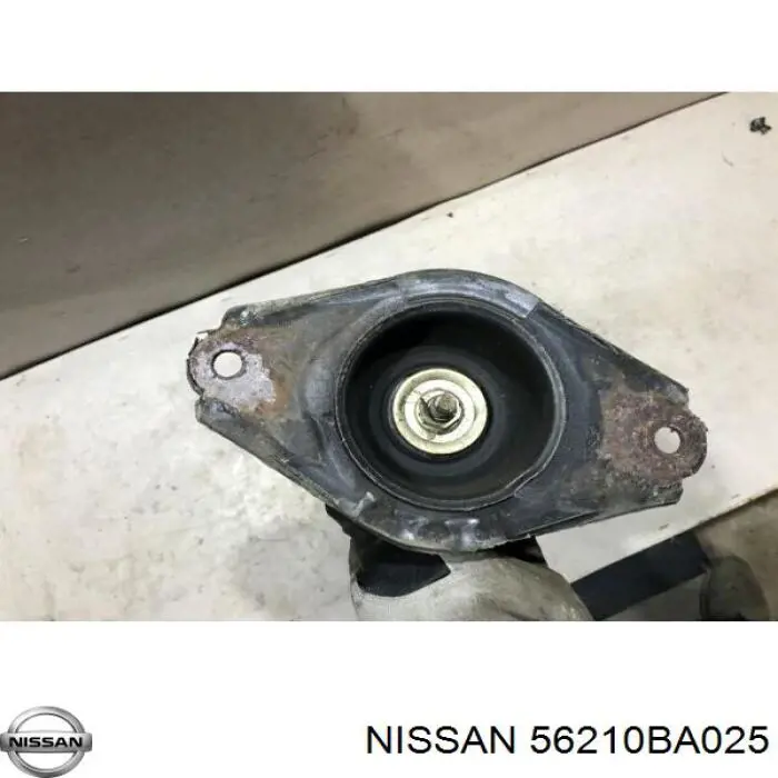 Do koszyka 56210BA025 Nissan/Infiniti Amortyzator tylny