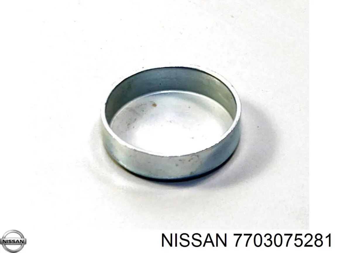 Do koszyka 7703075281 Nissan/Infiniti Zaślepka głowicy cylindrów/bloku cylindrów