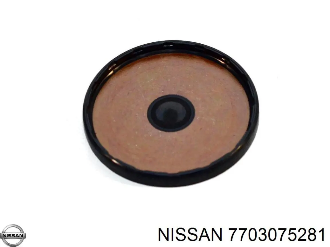 Zaślepka głowicy cylindrów/bloku cylindrów Nissan/Infiniti 7703075281