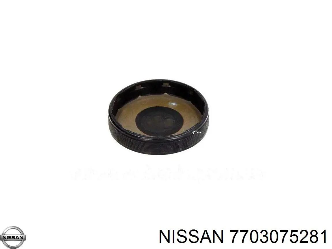 7703075281 Nissan/Infiniti Zaślepka głowicy cylindrów/bloku cylindrów