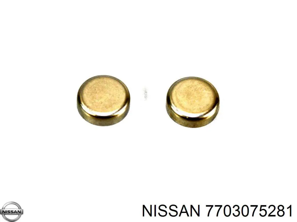 7703075281 Nissan/Infiniti Zaślepka głowicy cylindrów/bloku cylindrów