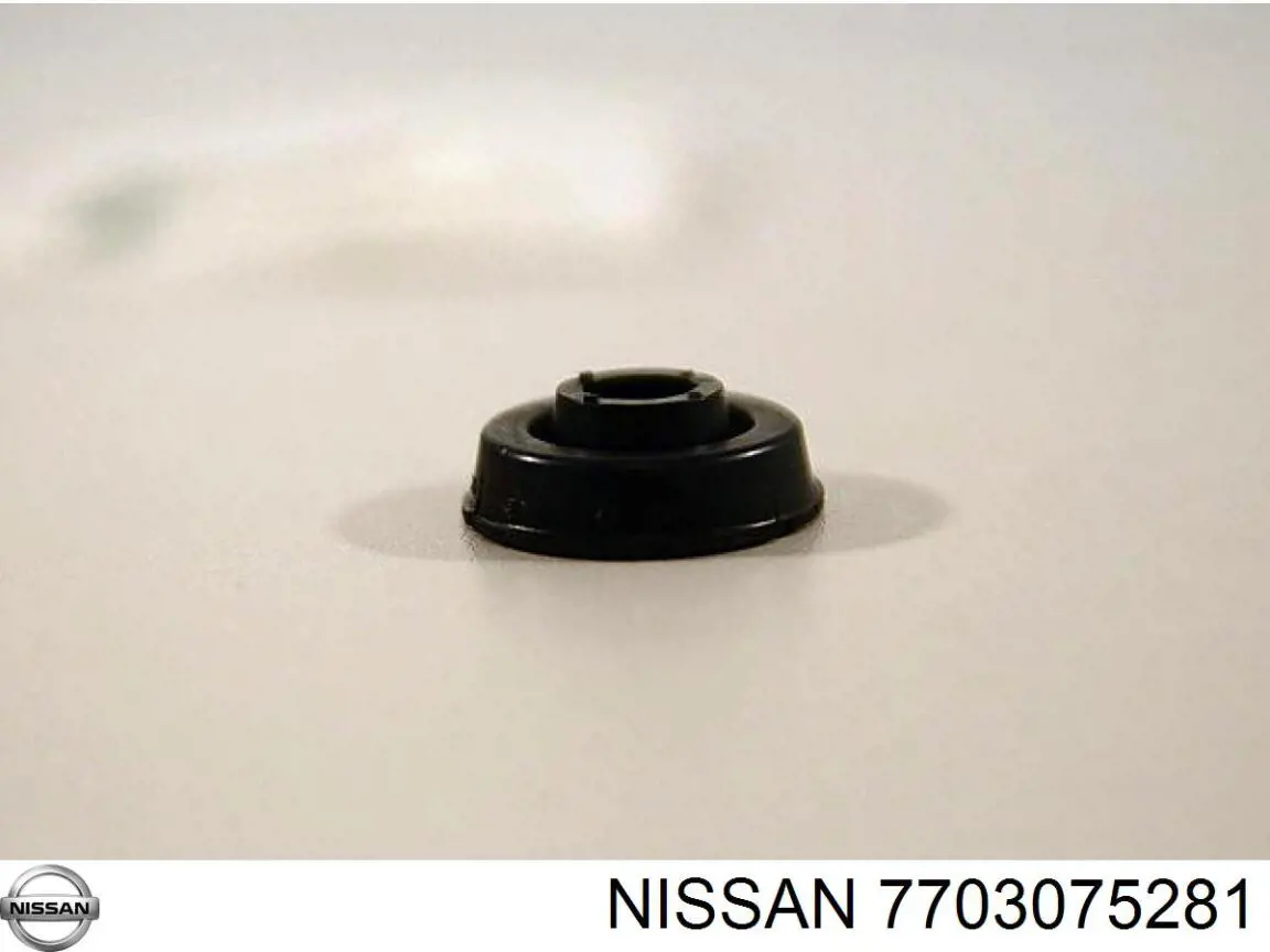 Zaślepka głowicy cylindrów/bloku cylindrów 7703075281 Nissan/Infiniti