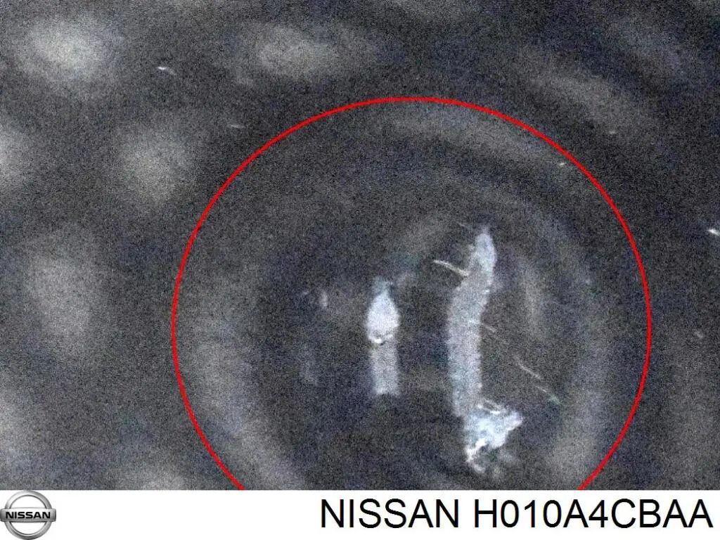 H010A4CBAA Nissan/Infiniti Drzwi przednie lewe
