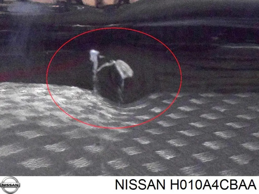 Do koszyka H010A4CBAA Nissan/Infiniti Drzwi przednie lewe