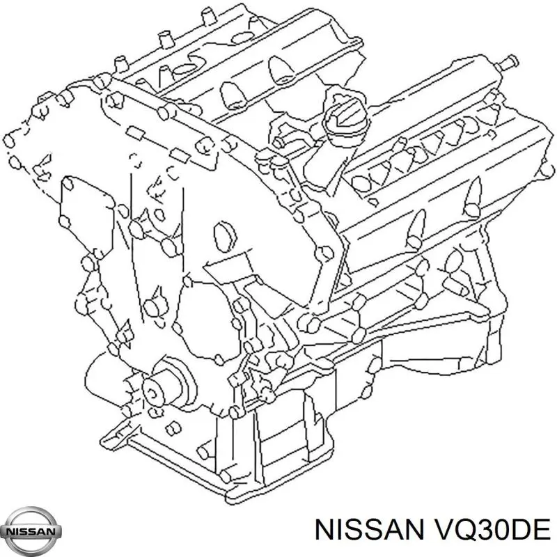 Silnik w komplecie do Nissan Maxima  A32