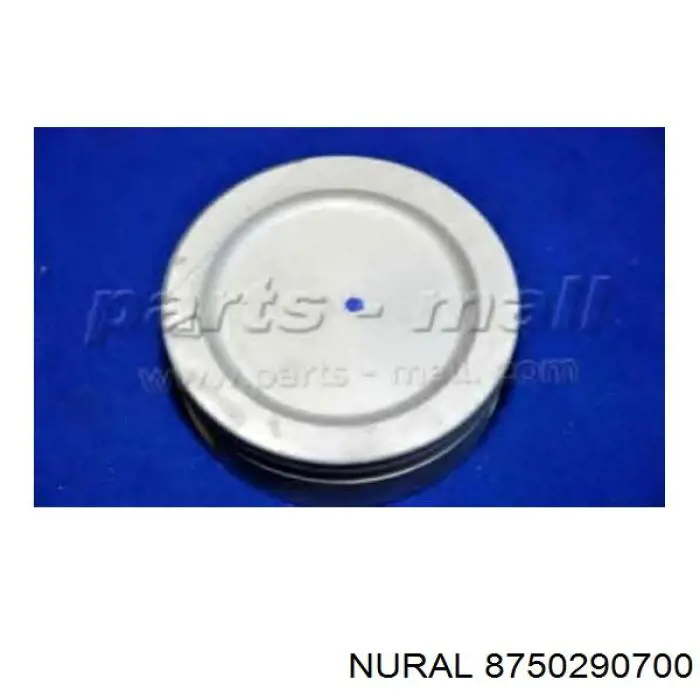 Tłok, komplet na 1 cylinder, 2. naprawa (+0,50) Nural 8750290700 cena, od 148,80 USD