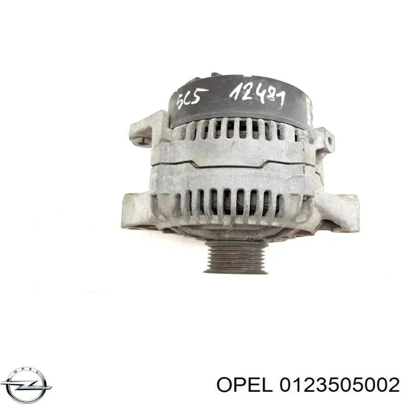 Do koszyka 0123510063 Opel Alternator