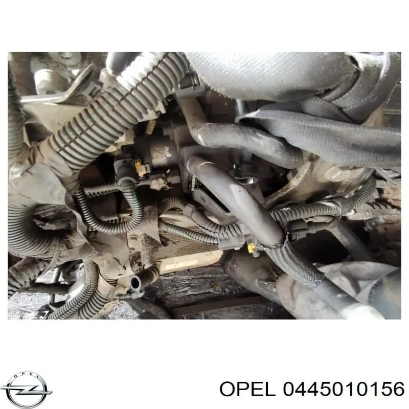Pompa wtryskowa wysokiego ciśnienia Fiat/Alfa/Lancia 55204599 cena, od 74,91 USD