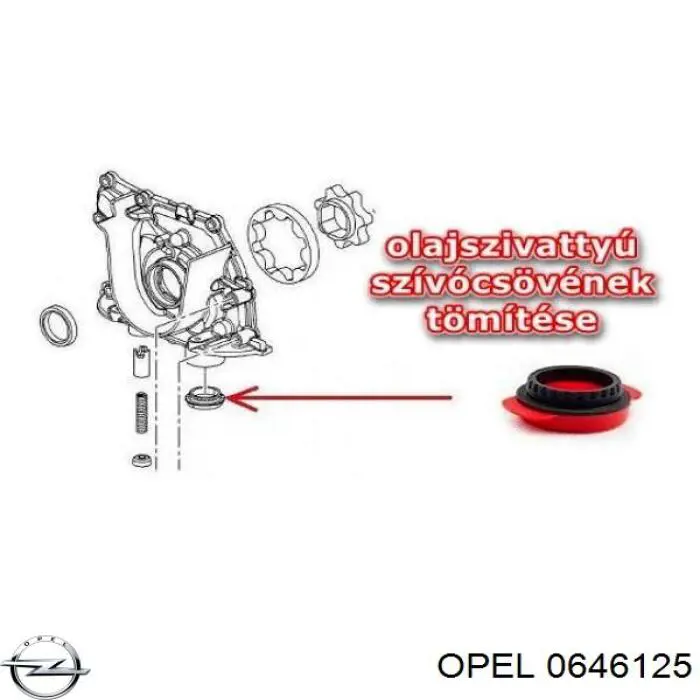 0646125 Opel uszczelka pompy oleju