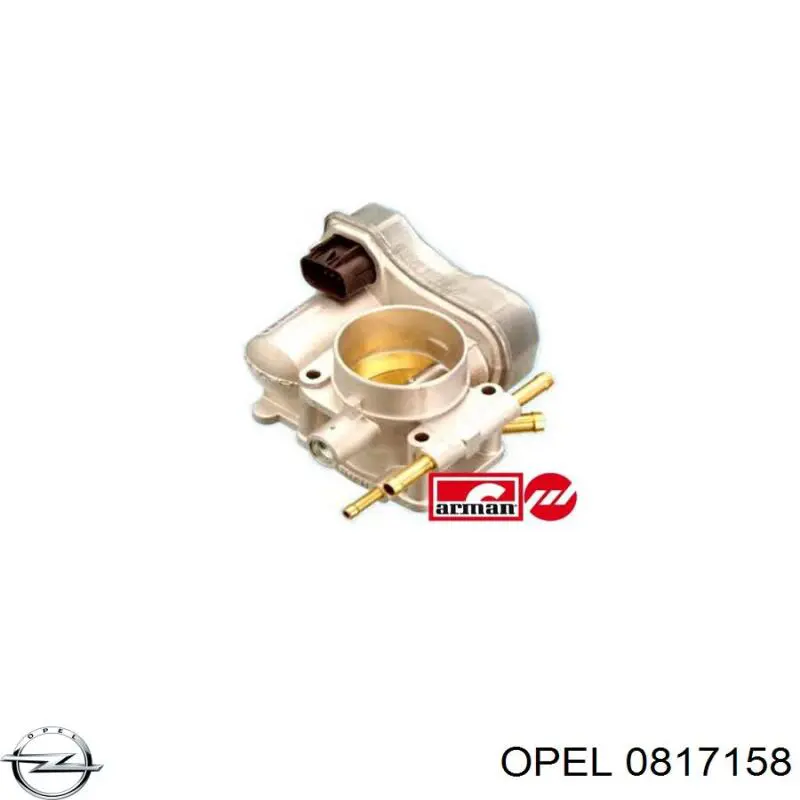 Przepustnica, komplet 90541440 Opel