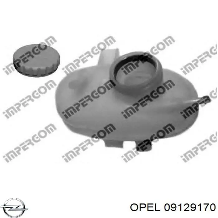 Zbiorniczek wyrównawczy układu chłodzenia General Motors 09129170 cena, od 27,53 USD
