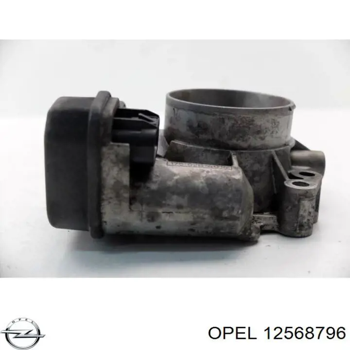 12568796 Opel Przepustnica, komplet
