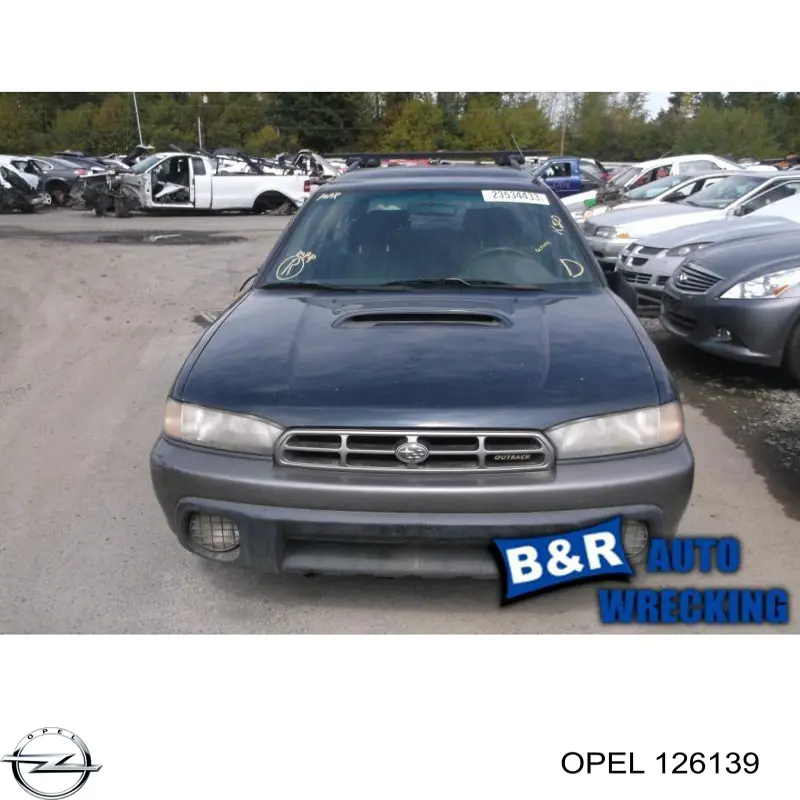 Drzwi tylne (bagażnika 3/5) Opel Zafira B minivan (A05) (2005 - 2011) cena, od 302,78 USD