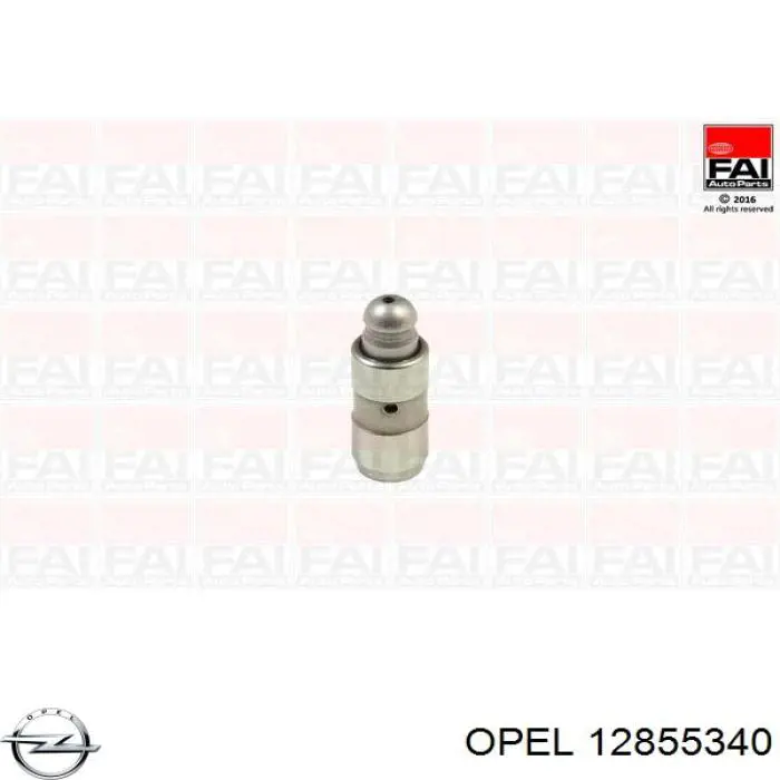 Kompensator hydrauliczny (popychacz hydrauliczny), popychacz zaworu General Motors 55569933 cena, od 10,87 USD