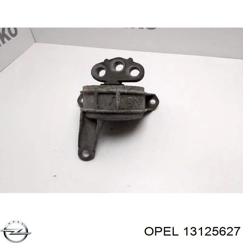  Opel 13125627 cena, od 51,08 USD