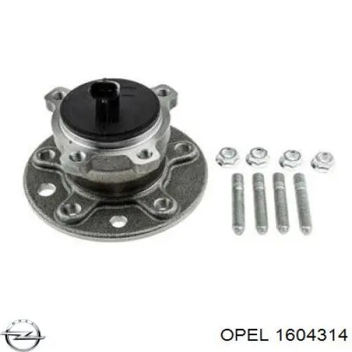 1604314 Opel Piasta tylna