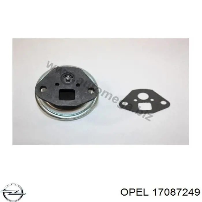 17087249 Opel Zawór recyrkulacji spalin EGR
