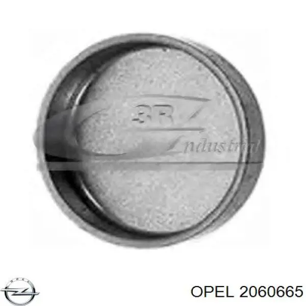 Do koszyka 2060665 Opel Zaślepka głowicy cylindrów/bloku cylindrów