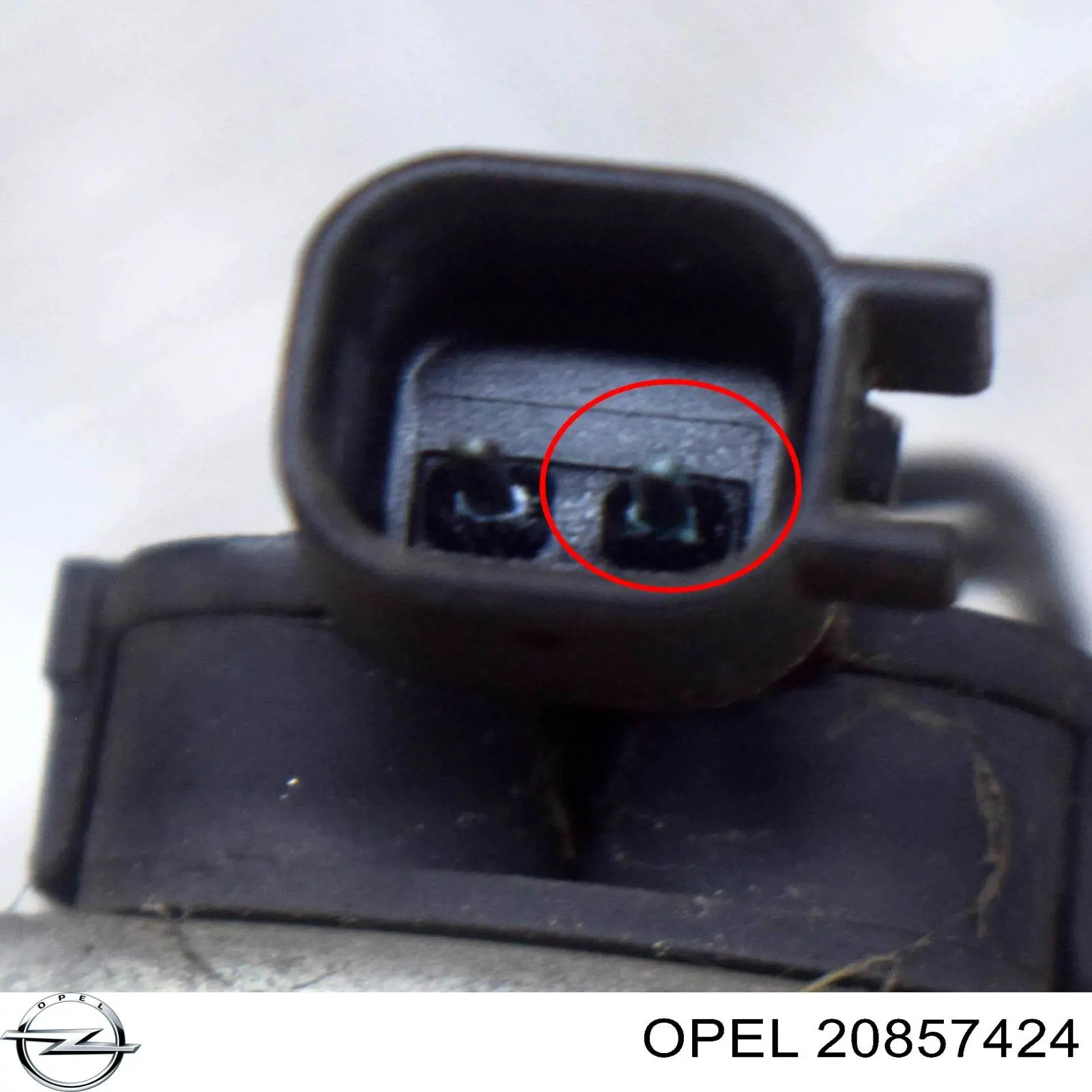 20857424 Opel Sygnał dźwiękowy (klakson)