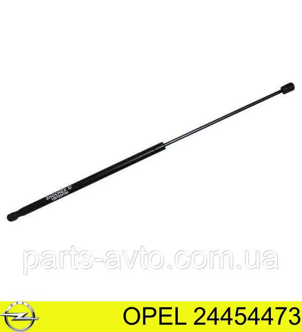 Do koszyka 24454473 Opel Amortyzator maski