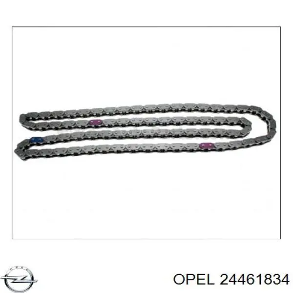 Łańcuch rozrządu 24461834 Opel