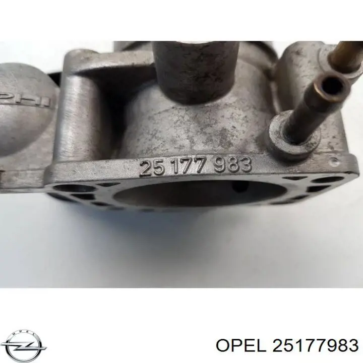25177983 Opel Przepustnica, komplet