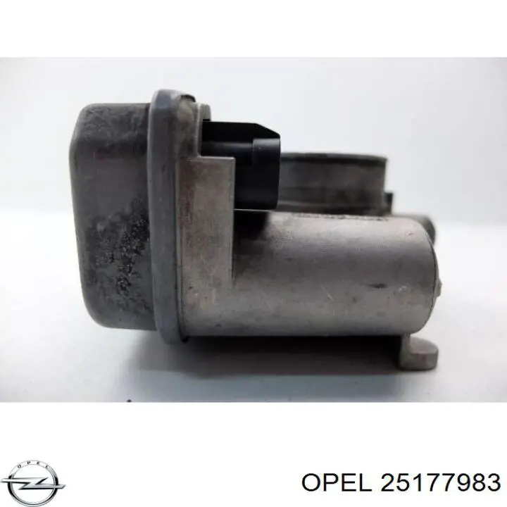 Przepustnica, komplet Opel 25177983
