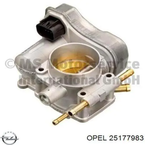 25177983 Opel Przepustnica, komplet