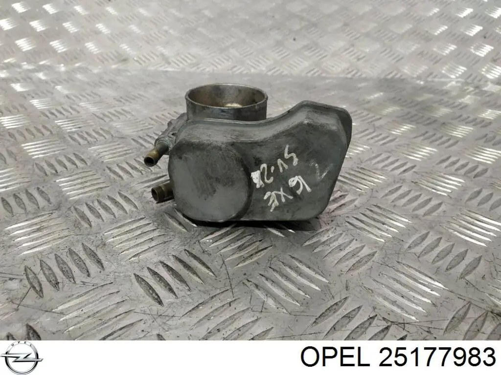 Do koszyka 25177983 Opel Przepustnica, komplet