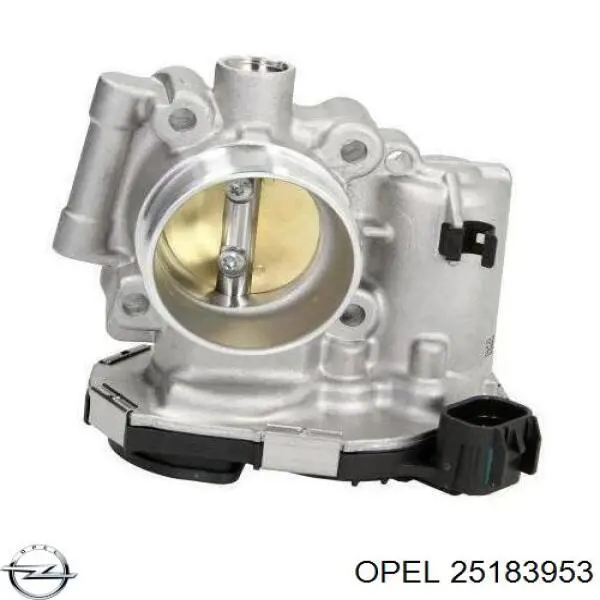 Przepustnica, komplet General Motors 96378856 cena, od 81,86 USD