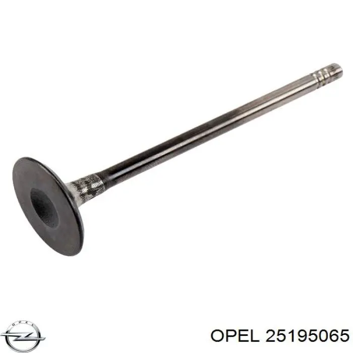 Tłok, komplet do jednego cylindru, STD General Motors 55580179 cena, od 91,37 USD