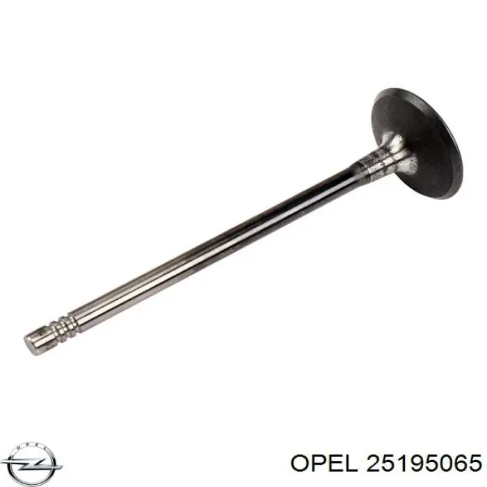 Tłok, komplet do jednego cylindru, STD General Motors 55580179 cena, od 91,37 USD