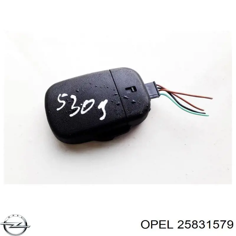 Do koszyka Czujnik deszczu Chevrolet Captiva I C100