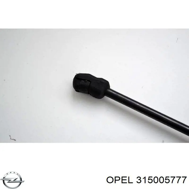 Do koszyka 315005777 Opel Amortyzator klapy bagażnika (3/5 drzwi-tylnych)