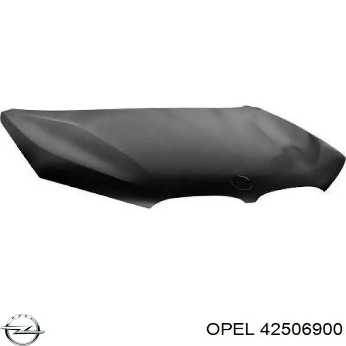 Atrapa chłodnicy Opel 42506900 cena, od 133,36 USD