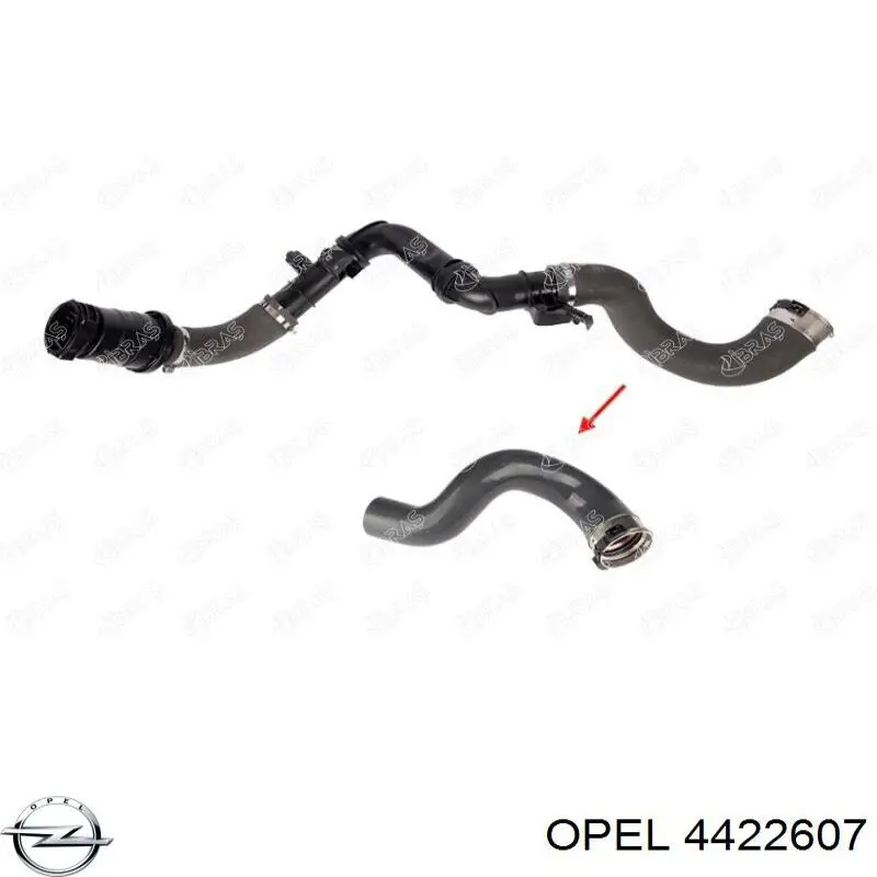 4422607 Opel Przewód (króciec) układu chłodzenia