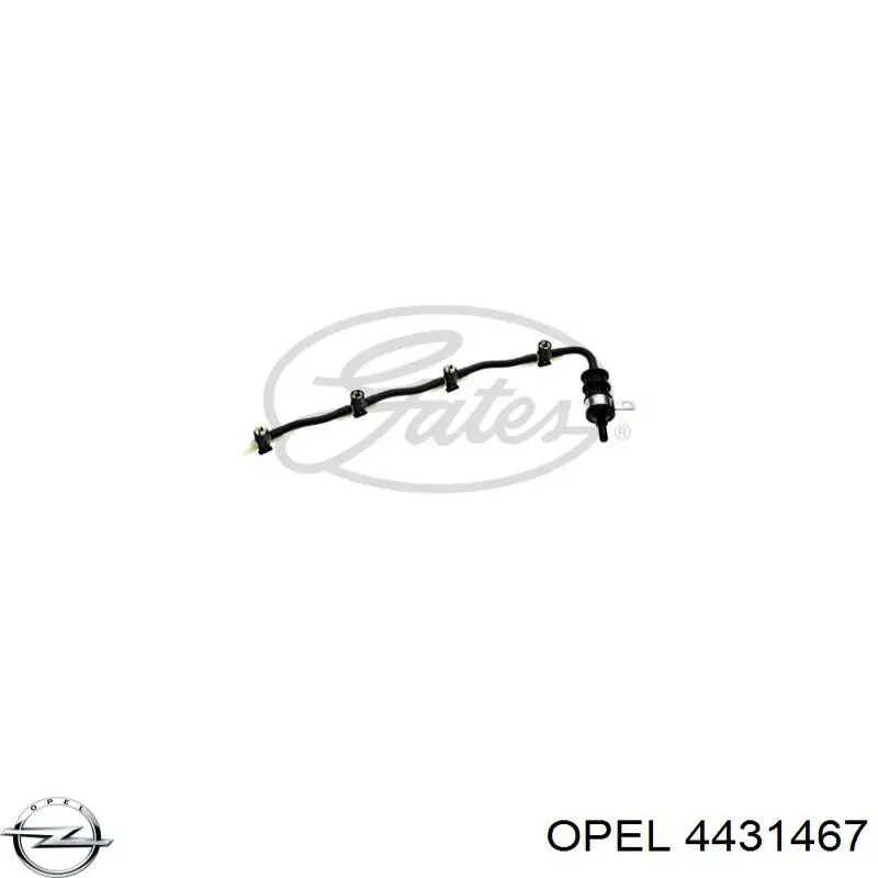 Rurka paliwa, zwrotna od wtryskiwaczy Opel 4431467 cena, od 46,11 USD