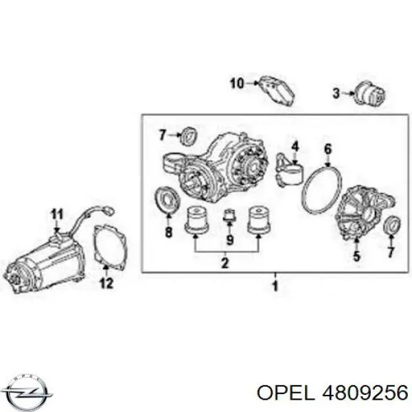 4809256 Opel Uszczelniacz reduktora mostu tylnego